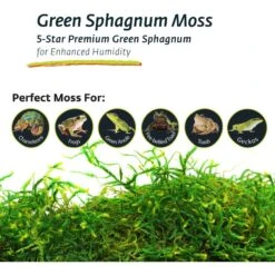 Galapagos Sphagnum Reptile, Amphibian & Insect Terrarium Moss -Pet Supplies Store 257619 PT4. AC SS1800 V1684405320