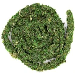 Galapagos MossVine Terrarium Ornament, Fresh Green 6 Galapagos MossVine Terrarium Ornament, Fresh Green -Pet Supplies Store 257631 PT2. AC SS1800 V1603403484