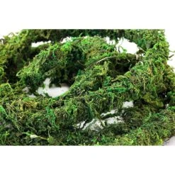 Galapagos MossVine Terrarium Ornament, Fresh Green 7 Galapagos MossVine Terrarium Ornament, Fresh Green -Pet Supplies Store 257631 PT3. AC SS1800 V1603412207