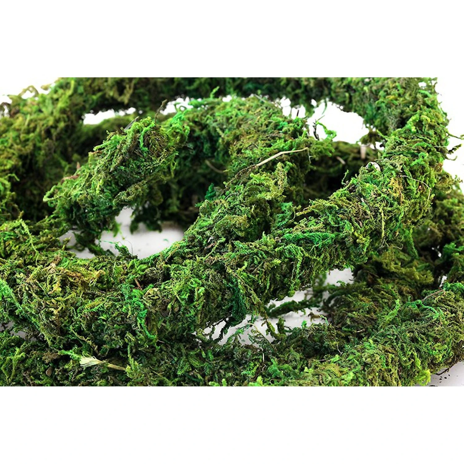 Galapagos MossVine Terrarium Ornament, Fresh Green 5 Galapagos MossVine Terrarium Ornament, Fresh Green - Image 3
