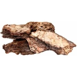 Galapagos Basking Bark Terrarium Wood, Natural -Pet Supplies Store 257637 PT1. AC SS1800 V1684404116