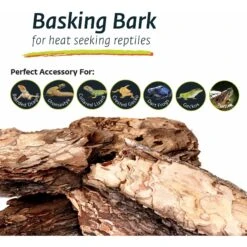Galapagos Basking Bark Terrarium Wood, Natural -Pet Supplies Store 257637 PT5. AC SS1800 V1684413232