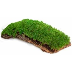 Galapagos Mossy Bark Terrarium Wood, Natural 11 Galapagos Mossy Bark Terrarium Wood, Natural -Pet Supplies Store 257639 PT3. AC SS1800 V1684407405