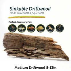 Galapagos Sinkable Driftwood Terrarium & Aquarium Accessory, Natural -Pet Supplies Store 257648 PT2. AC SS1800 V1684412639