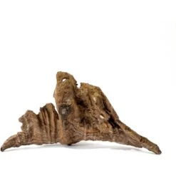 Galapagos Sinkable Driftwood Terrarium & Aquarium Accessory, Natural -Pet Supplies Store 257648 PT8. AC SS1800 V1684420985