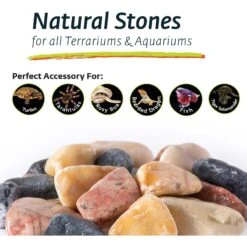 Galapagos Natural Terrarium Stones, 4-lb Bag -Pet Supplies Store 257659 PT5. AC SS1800 V1684407405