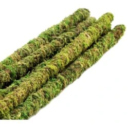 Galapagos Mossy Sticks, Fresh Green, 6 Count -Pet Supplies Store 257713 PT2. AC SS1800 V1684406269