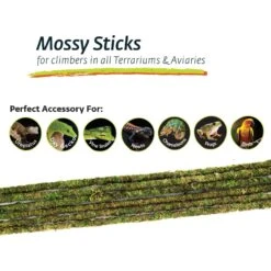 Galapagos Mossy Sticks, Fresh Green, 6 Count -Pet Supplies Store 257713 PT4. AC SS1800 V1684417931