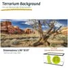 Galapagos Terrarium Background 2 Galapagos Terrarium Background -Pet Supplies Store 257727 MAIN. AC SS1800 V1684418737