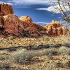 Galapagos Terrarium Background 10 Galapagos Terrarium Background -Pet Supplies Store 257727 PT2. AC SS1800 V1684416823