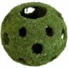 Galapagos Mossy Cave Reptile & Amphibian Terrarium Accessory, Fresh Green 2 Galapagos Mossy Cave Reptile & Amphibian Terrarium Accessory, Fresh Green -Pet Supplies Store 257732 MAIN. AC SS1800 V1684419541