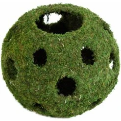 Galapagos Mossy Cave Reptile & Amphibian Terrarium Accessory, Fresh Green