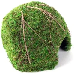 Galapagos Mossy Dome Reptile & Amphibian Terrarium Accessory, Fresh Green -Pet Supplies Store 257740 PT1. AC SS1800 V1684413175
