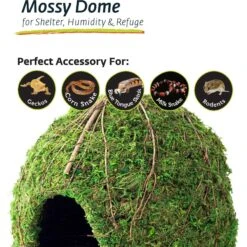 Galapagos Mossy Dome Reptile & Amphibian Terrarium Accessory, Fresh Green -Pet Supplies Store 257740 PT3. AC SS1800 V1684418735