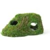 Galapagos Sapa Corner Hideout Reptile Terrarium Accessory, Fresh Green -Pet Supplies Store 257742 MAIN. AC SS1800 V1684411832
