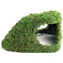 Galapagos Sapa Corner Hideout Reptile Terrarium Accessory, Fresh Green -Pet Supplies Store 257742 PT1. AC SS1800 V1684419480