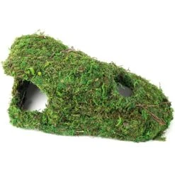 Galapagos Sapa Corner Hideout Reptile Terrarium Accessory, Fresh Green -Pet Supplies Store 257742 PT4. AC SS1800 V1684419451