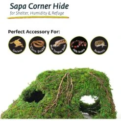 Galapagos Sapa Corner Hideout Reptile Terrarium Accessory, Fresh Green -Pet Supplies Store 257742 PT6. AC SS1800 V1684405320