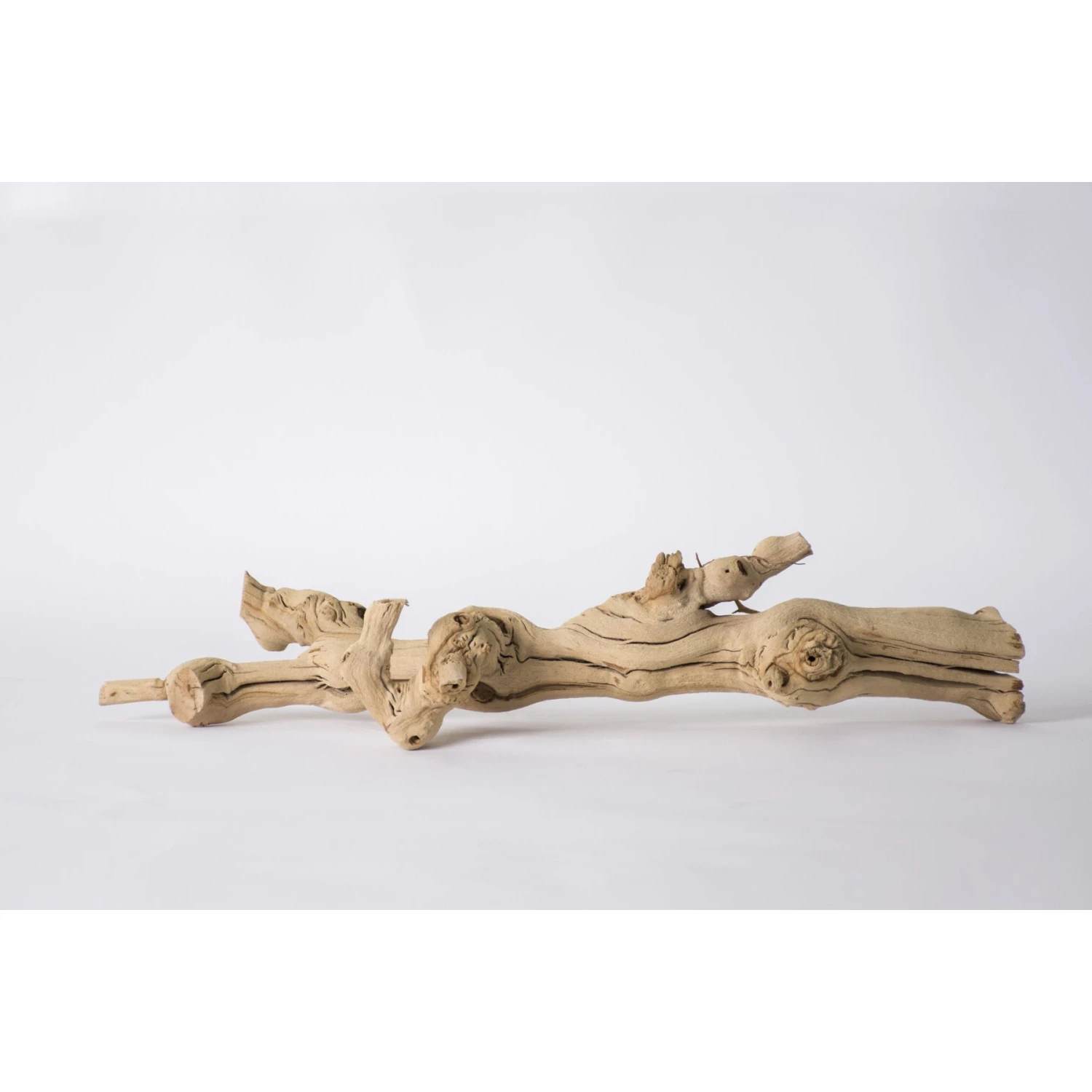 Galapagos Walking Wood Grapevine Branch Reptile Terrarium Accessory, 19-24-in 7 Galapagos Walking Wood Grapevine Branch Reptile Terrarium Accessory, 19-24-in - Image 5