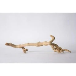 Galapagos Walking Wood Grapevine Branch Reptile Terrarium Accessory, 19-24-in 13 Galapagos Walking Wood Grapevine Branch Reptile Terrarium Accessory, 19-24-in -Pet Supplies Store 257750 PT5. AC SS1800 V1657656399