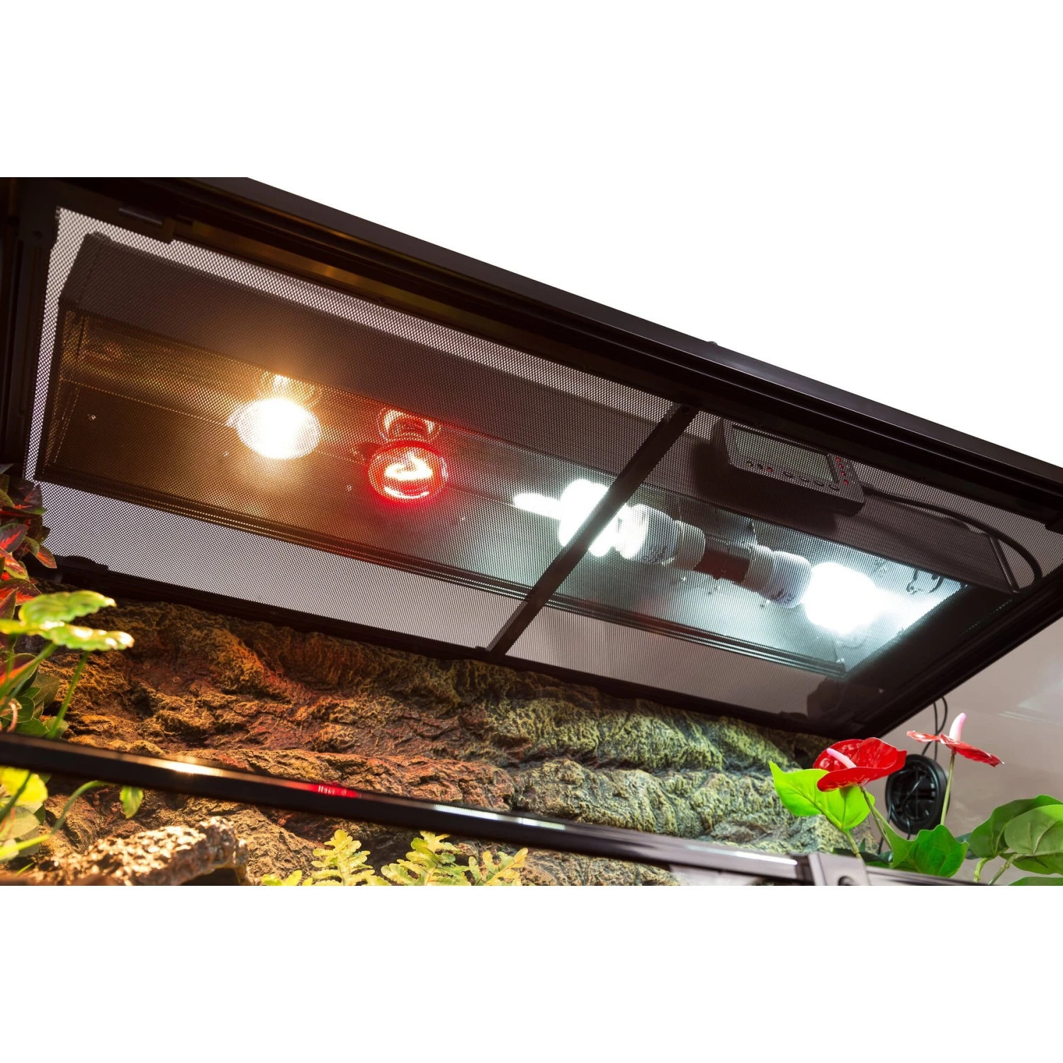 TRIXIE Glass Reptile Terrarium 5 TRIXIE Glass Reptile Terrarium - Image 3