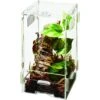 Zilla Micro Habitat Terrariums With Locking Latch Arboreal -Pet Supplies Store 263984 MAIN. AC SS1800 V1624394333