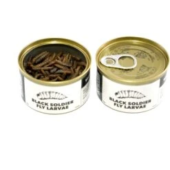Symton Black Soldier Fly Larvae Canned Reptile Food -Pet Supplies Store 265788 PT3. AC SS1800 V1623433653