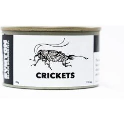 Symton Crickets Canned Reptile Food, 35-g, Count Of 3 -Pet Supplies Store 265794 PT2. AC SS1800 V1623430736