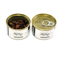 Symton Crickets Canned Reptile Food, 35-g, Count Of 3 -Pet Supplies Store 265794 PT3. AC SS1800 V1623433994