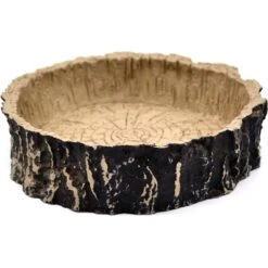 XYZReptiles Boa Constrictor Reptile Starter Kit -Pet Supplies Store 268820 PT7. AC SS1800 V1632885984