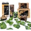 XYZReptiles Corn Snake Reptile Starter Kit
