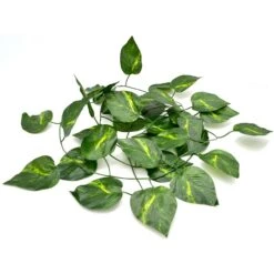 XYZReptiles Snake Habitat Starter Kit -Pet Supplies Store 268824 PT8. AC SS1800 V1632890775