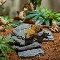CC Pet Stack Stones Reptile Terrarium Ornament -Pet Supplies Store 269274 PT3. AC SS1800 V1627417128