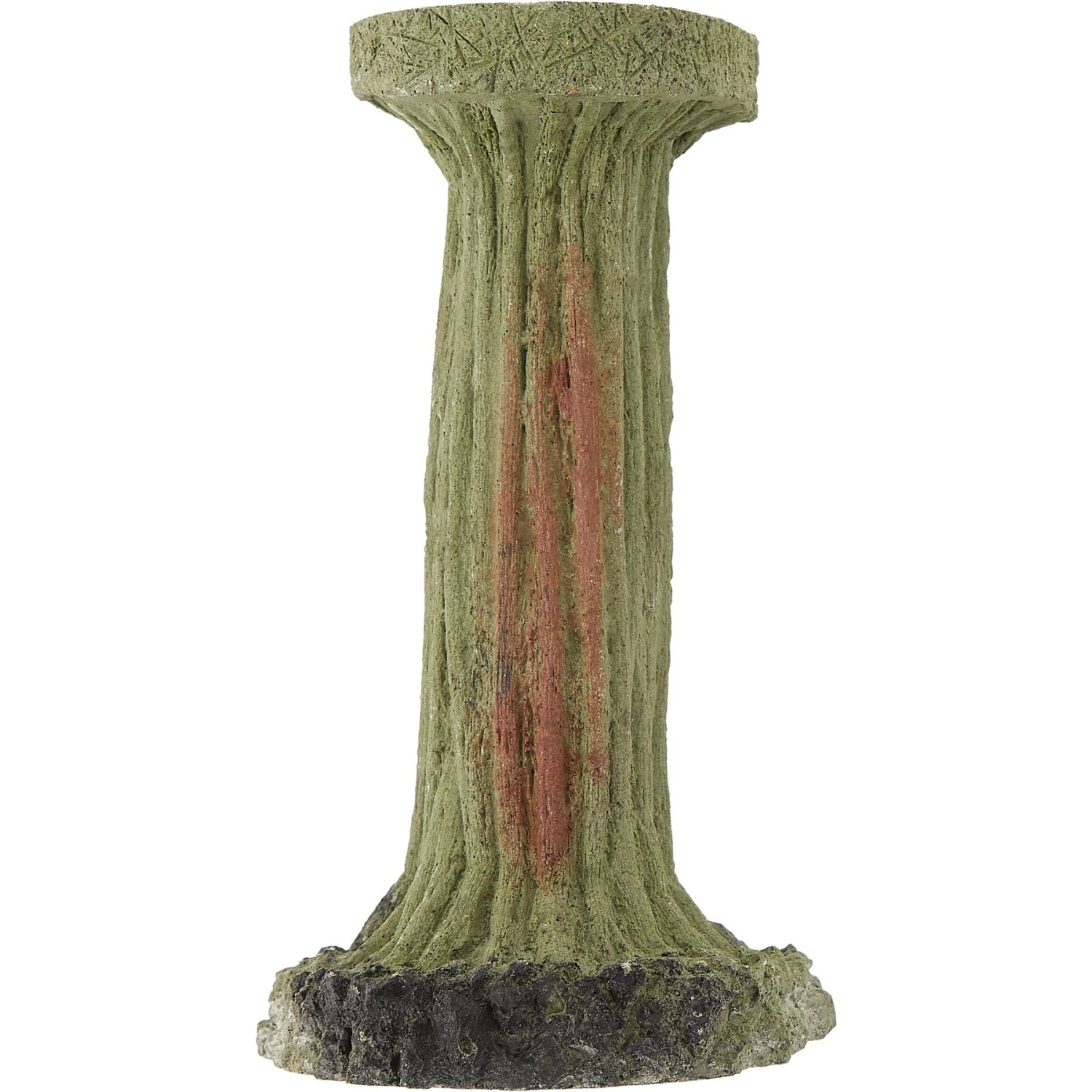 CC Pet Elevated Crested Gecko Bowl 4 CC Pet Elevated Crested Gecko Bowl - Image 2