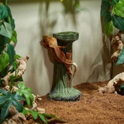 CC Pet Elevated Crested Gecko Bowl 9 CC Pet Elevated Crested Gecko Bowl -Pet Supplies Store 269303 PT3. AC SS1800 V1627417144