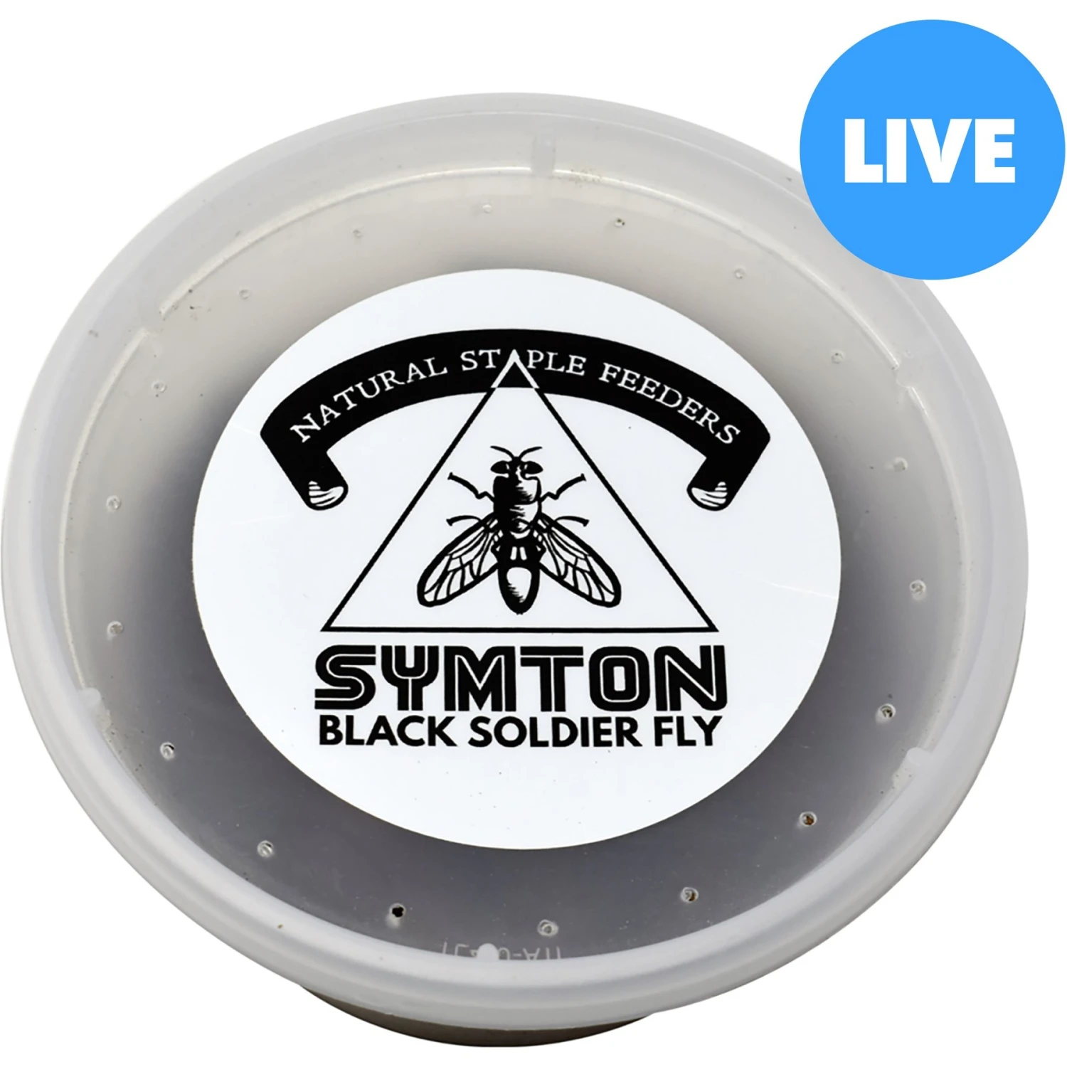 Symton Medium Live Black Soldier Fly Larvae Lizard Food 3 Symton Medium Live Black Soldier Fly Larvae Lizard Food