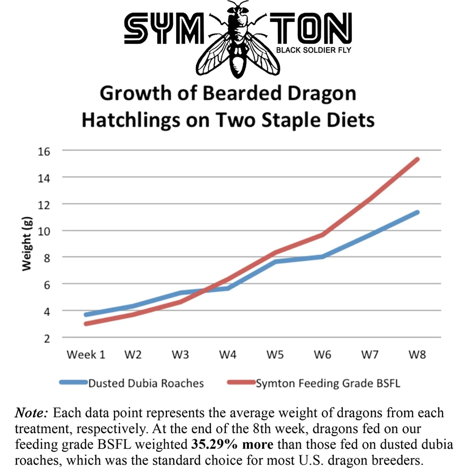 Symton Medium Live Black Soldier Fly Larvae Lizard Food 5 Symton Medium Live Black Soldier Fly Larvae Lizard Food - Image 3