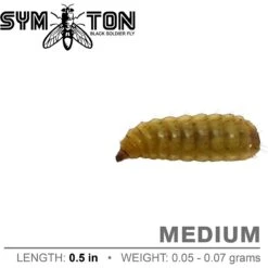 Symton Medium Live Black Soldier Fly Larvae Lizard Food 10 Symton Medium Live Black Soldier Fly Larvae Lizard Food -Pet Supplies Store 272160 PT3. AC SS1800 V1613178090