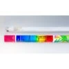 Lumichrome Sunshine 10 UVB T8 Fluorescent Reptile Lamp 2 Lumichrome Sunshine 10 UVB T8 Fluorescent Reptile Lamp -Pet Supplies Store 277479 MAIN. AC SS1800 V1628795836