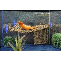 Penn-Plax Reptology Lizard Lounger Bundle, 3 Piece 13 Penn-Plax Reptology Lizard Lounger Bundle, 3 Piece -Pet Supplies Store 279831 PT5. AC SS1800 V1644017814