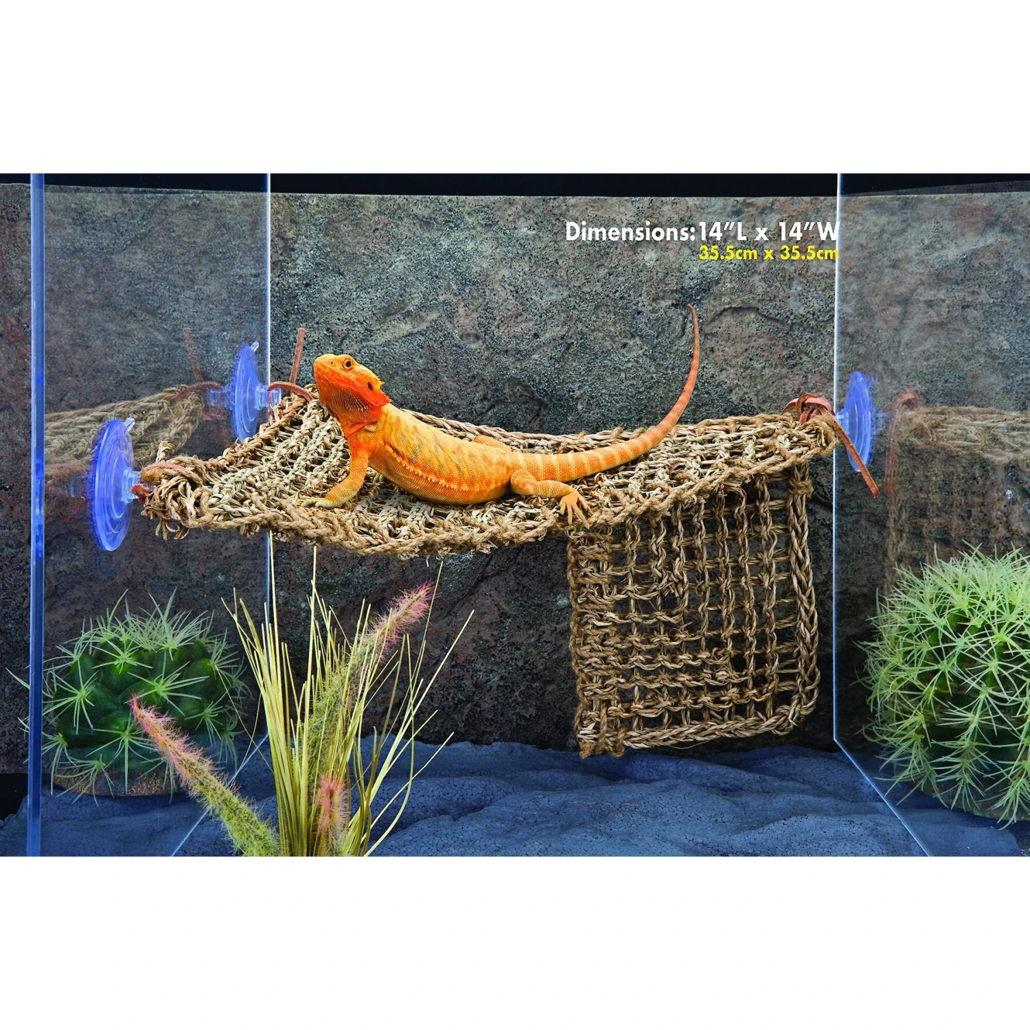 Penn-Plax Reptology Lizard Lounger Bundle, 3 Piece 7 Penn-Plax Reptology Lizard Lounger Bundle, 3 Piece - Image 5