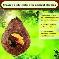 SunGrow Crested & Leopard Gecko Coconut Hide, Humid Cave For Frog, Reptile & Amphibian -Pet Supplies Store 283202 PT3. AC SS1800 V1689019126