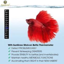 SunGrow Betta Fish Thermometer Sticker, Temperature Strip For Small Aquarium & Reptiles Tank 11 SunGrow Betta Fish Thermometer Sticker, Temperature Strip For Small Aquarium & Reptiles Tank -Pet Supplies Store 288088 PT2. AC SS1800 V1618350450