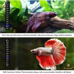 SunGrow Betta Fish Thermometer Sticker, Temperature Strip For Small Aquarium & Reptiles Tank 12 SunGrow Betta Fish Thermometer Sticker, Temperature Strip For Small Aquarium & Reptiles Tank -Pet Supplies Store 288088 PT3. AC SS1800 V1618349910