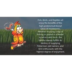 Uncle Jim's Worm Farm Live Mealworms Reptile & Fish Food 12 Uncle Jim's Worm Farm Live Mealworms Reptile & Fish Food -Pet Supplies Store 291263 PT4. AC SS1800 V1619837232