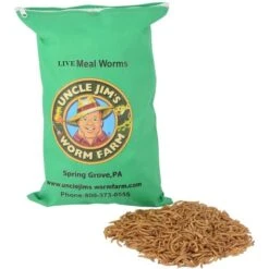 Uncle Jim's Worm Farm Live Mealworms Reptile & Fish Food 13 Uncle Jim's Worm Farm Live Mealworms Reptile & Fish Food -Pet Supplies Store 291263 PT8. AC SS1800 V1677262824