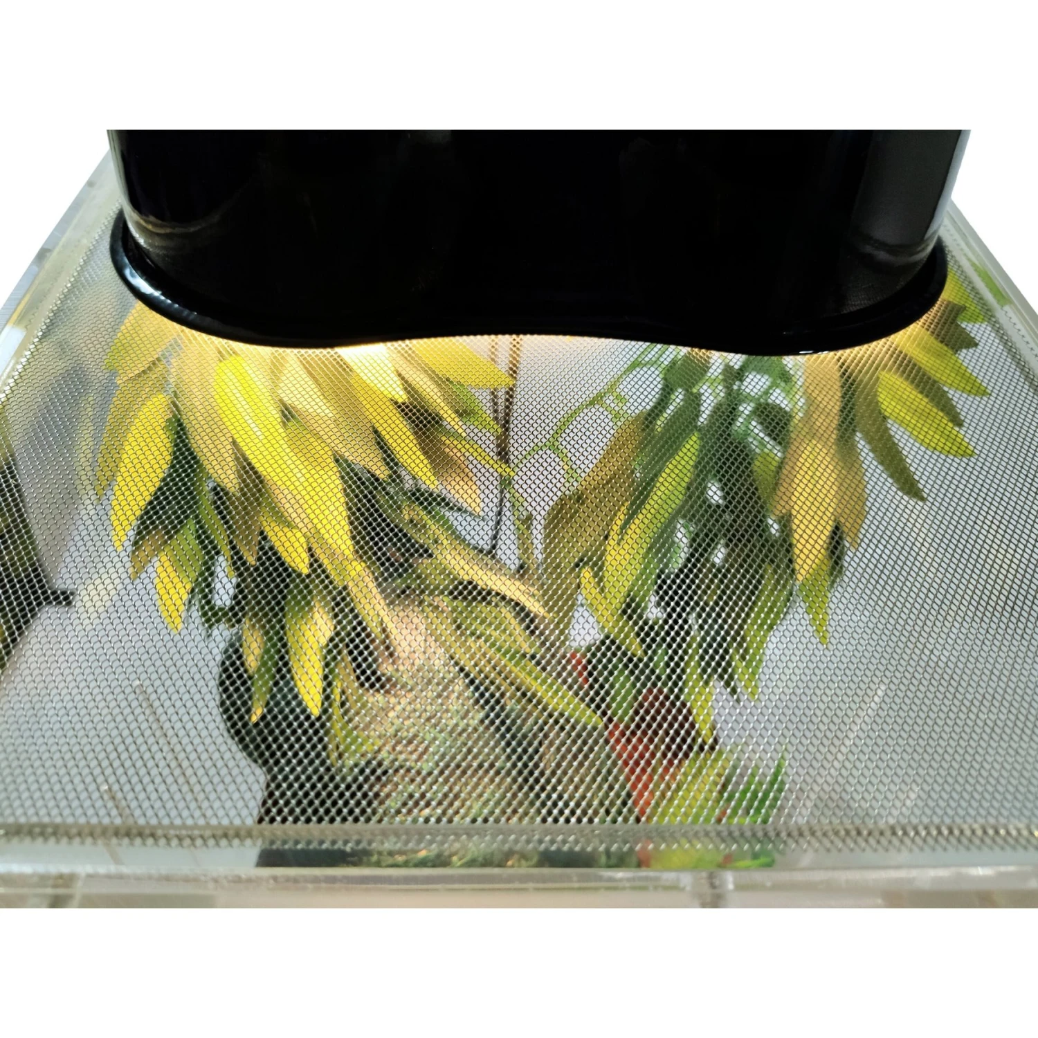 HerpCult Acrylic Front-Opening Reptile Habitat, 12-gal 6 HerpCult Acrylic Front-Opening Reptile Habitat, 12-gal - Image 4