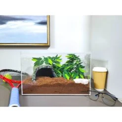 HerpCult Acrylic Clear-Top Reptile Habitat, 8.3-gal 12 HerpCult Acrylic Clear-Top Reptile Habitat, 8.3-gal -Pet Supplies Store 294804 PT4. AC SS1800 V1621032478