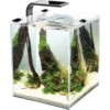 Cobalt Aquatics Microvue Aquarium Kit 1 Cobalt Aquatics Microvue Aquarium Kit -Pet Supplies Store 299926 MAIN. AC SS1800 V1625263083