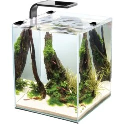 Cobalt Aquatics Microvue Aquarium Kit